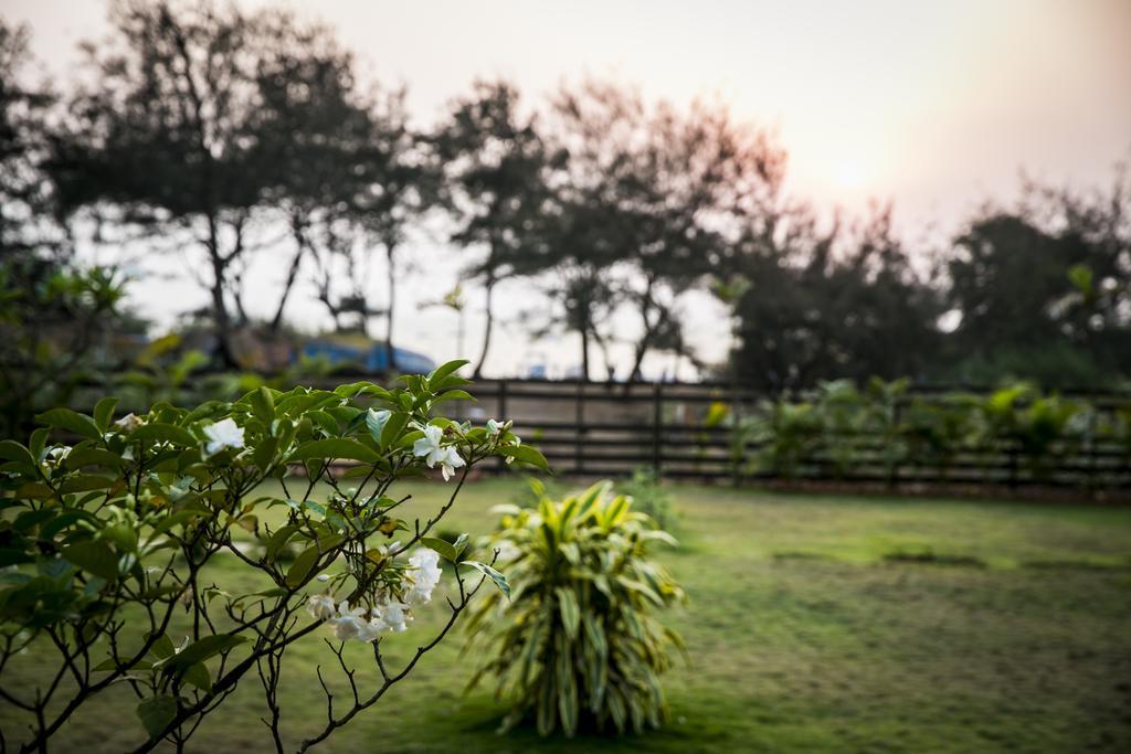 Casa Cubo By The Beach Bed & Breakfast Calangute Bagian luar foto